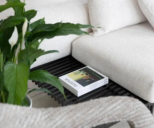 Cosmopolita Boutique 4* Timisoara